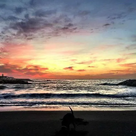 Rivas Апартаменты Малага